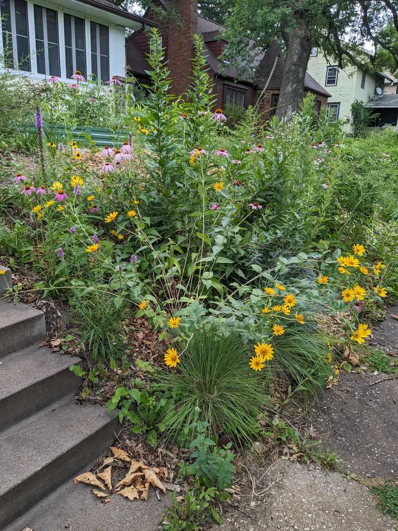 The Messy Yard Mistake