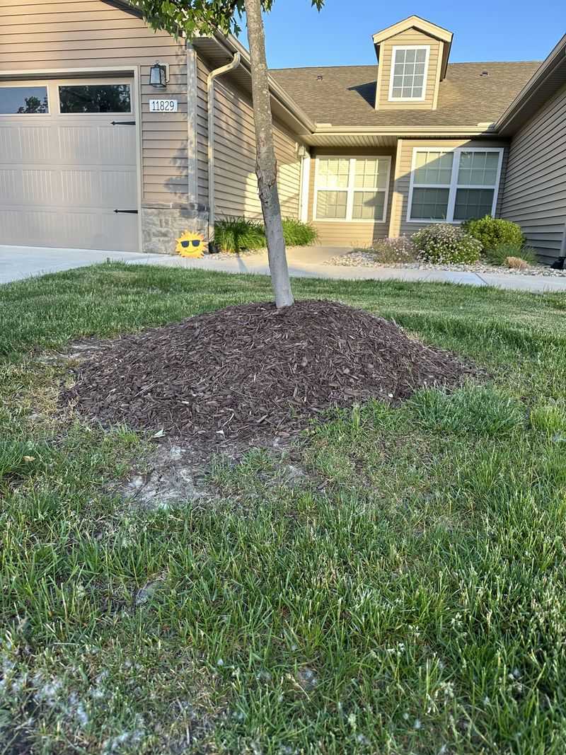 The Mulch Volcano Mistake To Skip The Mulch Volcano Mistake To Skip