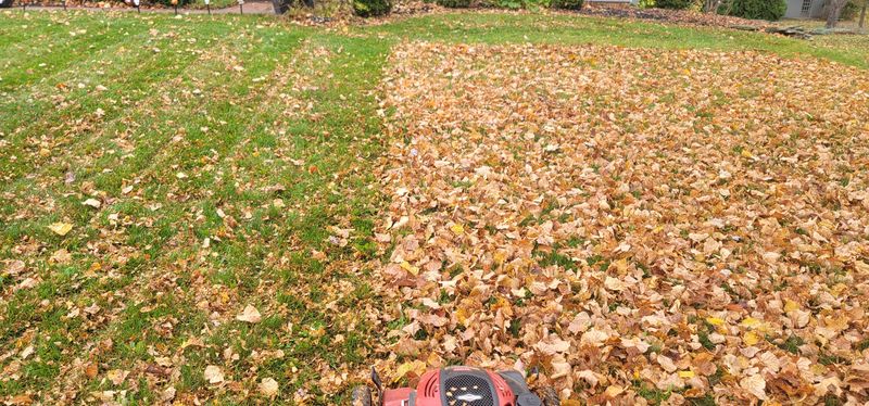 The Mulching Mower Shortcut