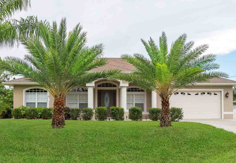 The Palm Formula Works On St. Augustinegrass Too The Palm Formula Works On St. Augustinegrass Too