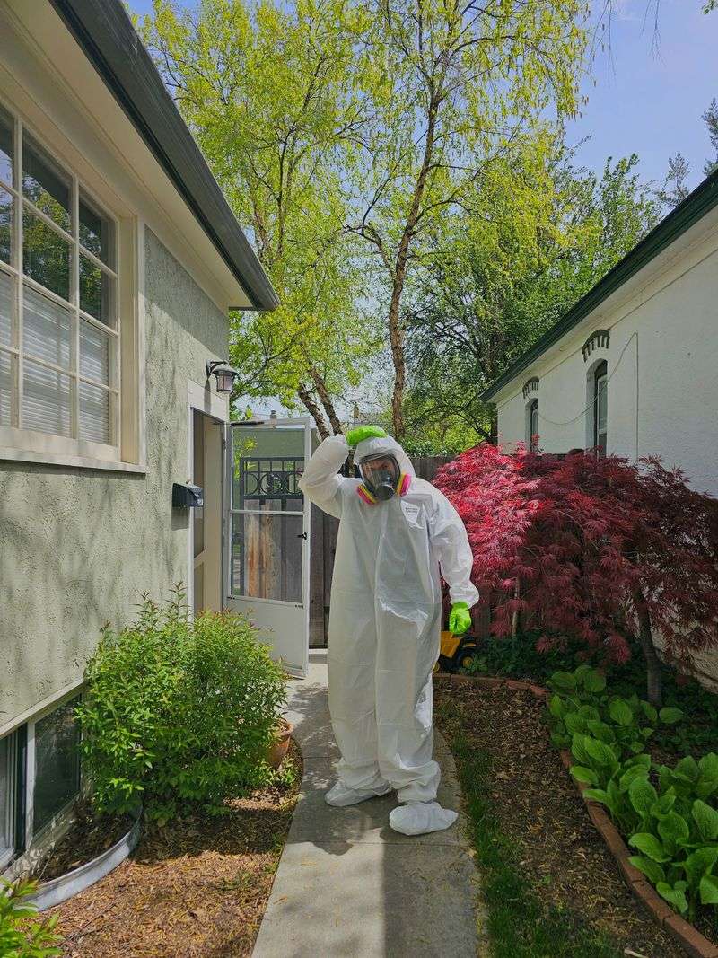 The Pesticide Mistake Many Homeowners Make The Pesticide Mistake Many Homeowners Make