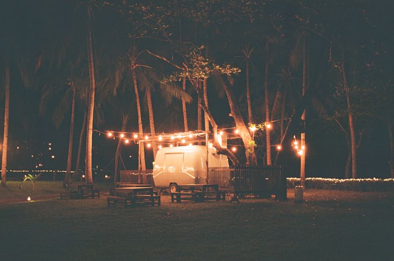 The Pull Of Bright Lights On Tiny Travelers The Pull Of Bright Lights On Tiny Travelers