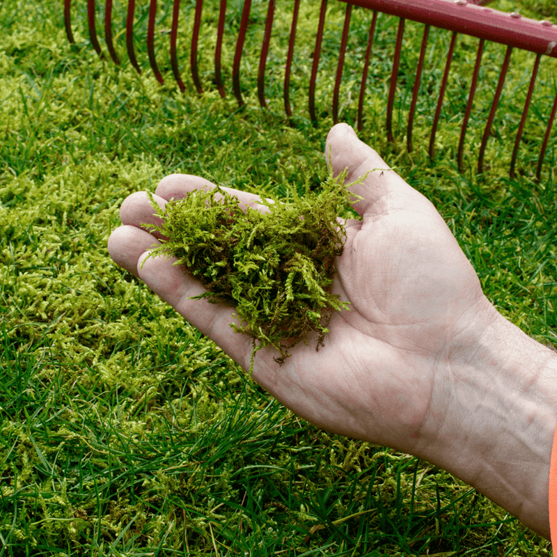 The Raking Mistake Many Homeowners Make