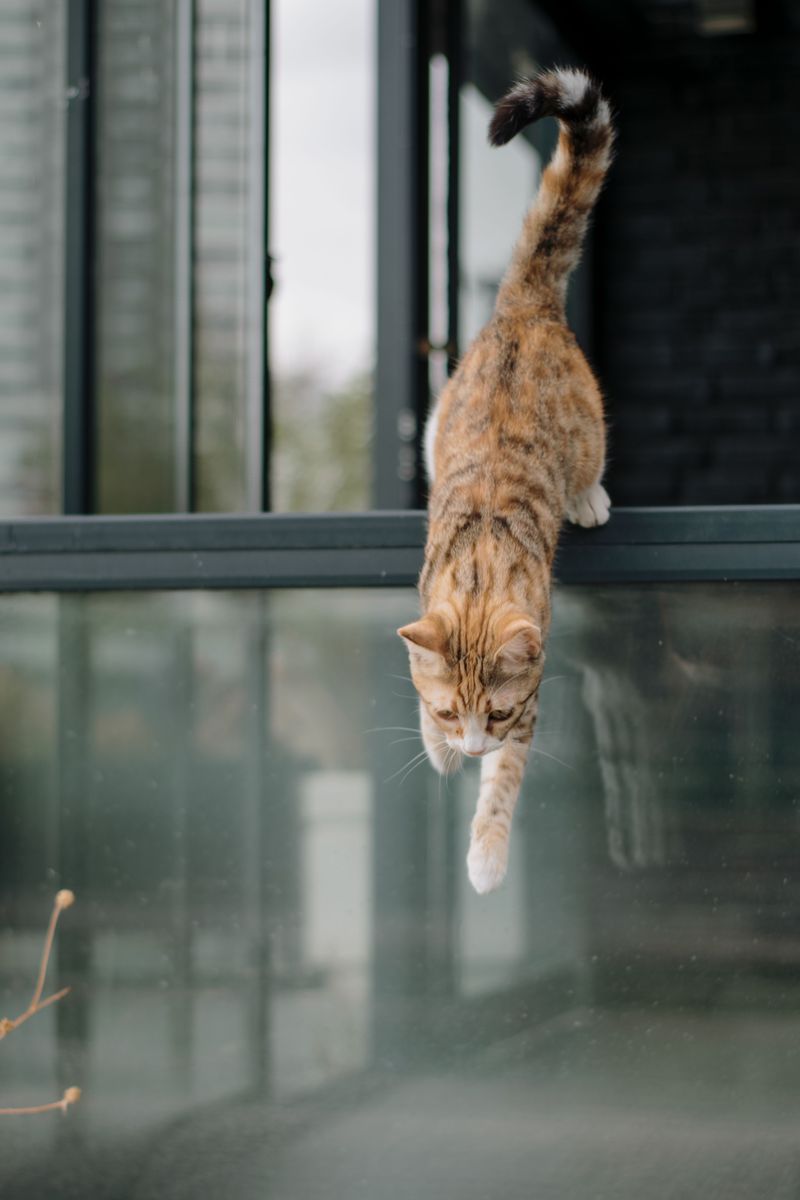 The Real Risk To Your Family And Pets