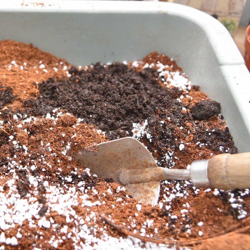 The Recipe Is 2 Parts Peat, 2 Parts Compost And 1 Part Vermiculite