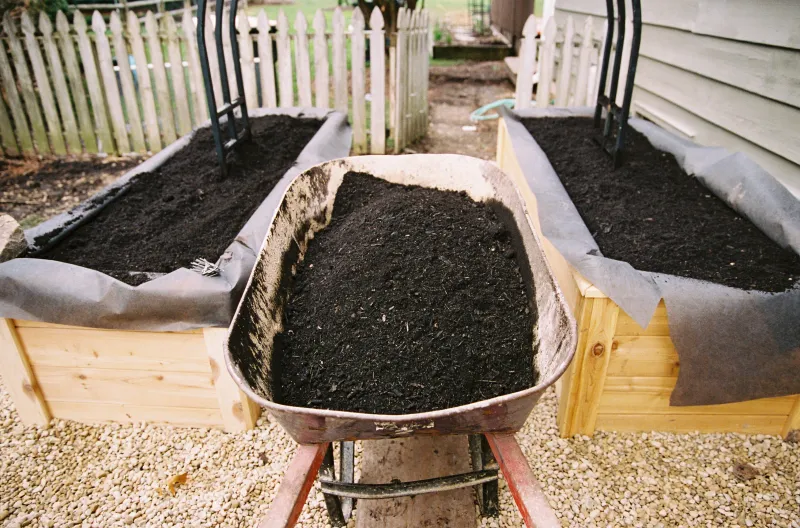 The Right Amount Of Compost For California Raised Beds In October