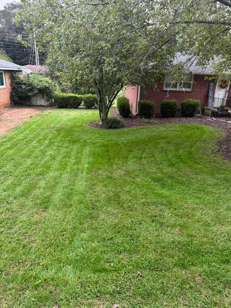 The Right Fall Treatment Prepares Turf Without Forcing New Growth The Right Fall Treatment Prepares Turf Without Forcing New Growth