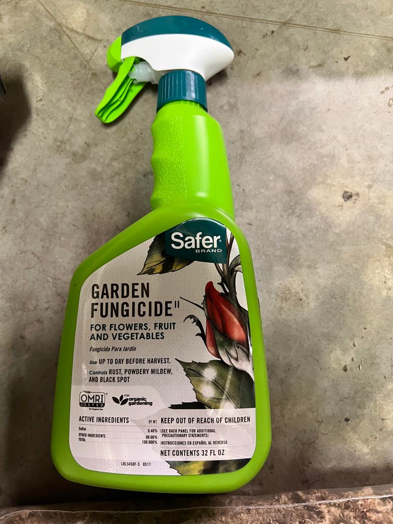 The Right Fungicide At The Right Moment The Right Fungicide At The Right Moment