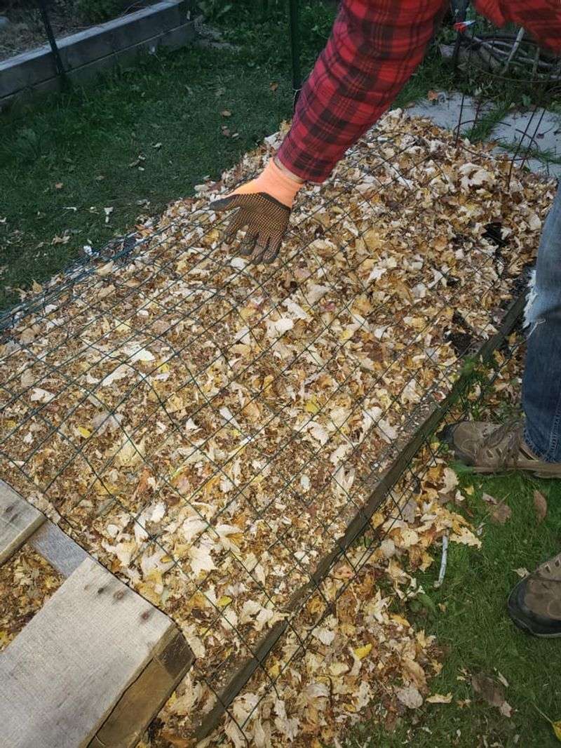 The Soggy Leaf Mat Mistake The Soggy Leaf Mat Mistake