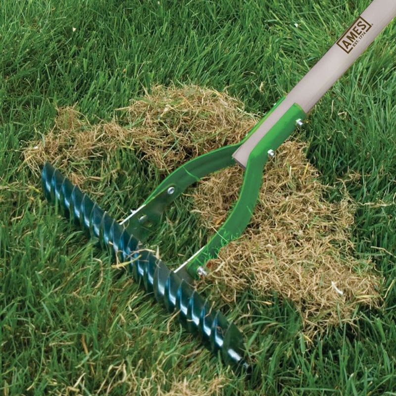 The Spring Tine Rake With Short Firm Strokes