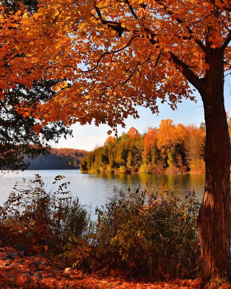The Third Week Of October In The Finger Lakes
