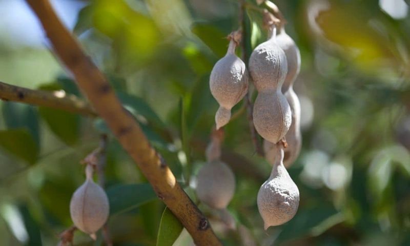 The sources do not verify an all-winter pod drop The sources do not verify an all-winter pod drop