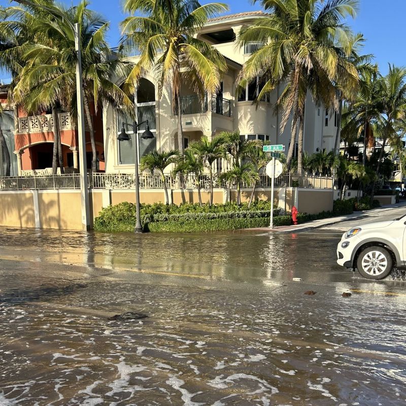 They Can Push Seawater Into Yards On Sunny Days
