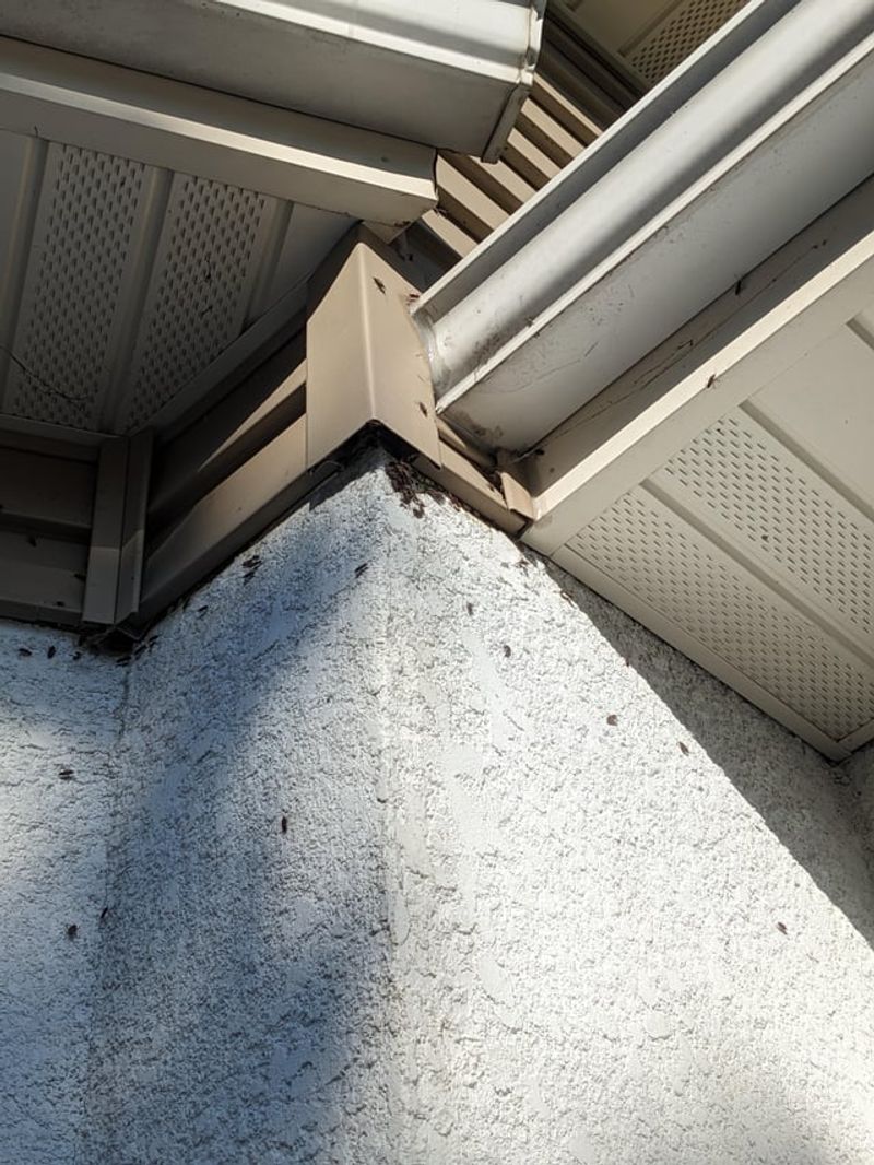 They Squeeze Through Surprisingly Small Gaps