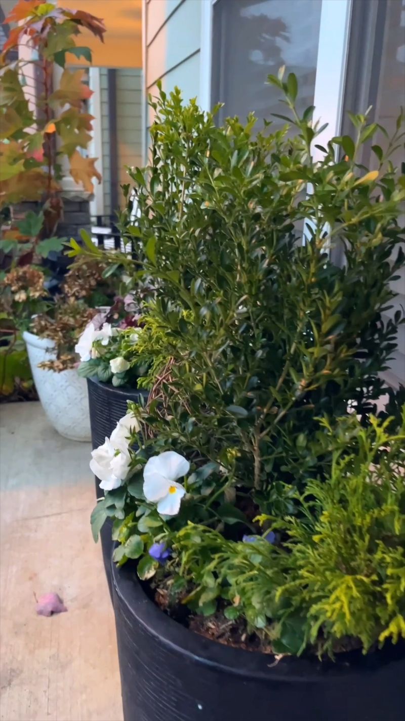 Thin Pot Walls Let Cold In Fast