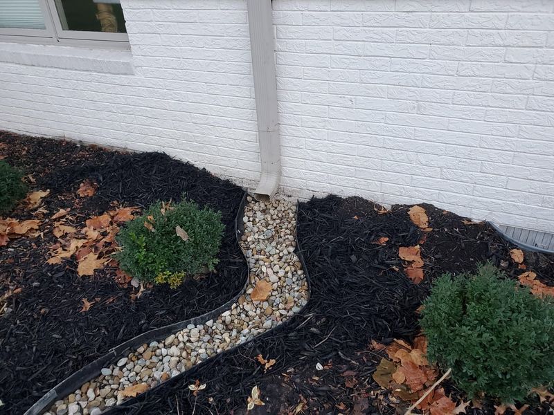 Thinner Mulch And Better Drainage Can Reduce Activity Near The House Thinner Mulch And Better Drainage Can Reduce Activity Near The House