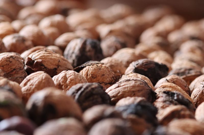 Those Sticky Black Walnut Hulls Are Brown Dye Waiting To Happen