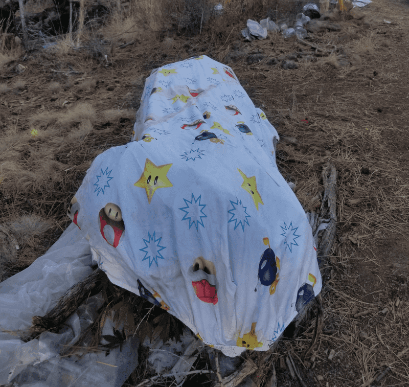 Throw An Old Blanket Over The Top On Frigid Nights
