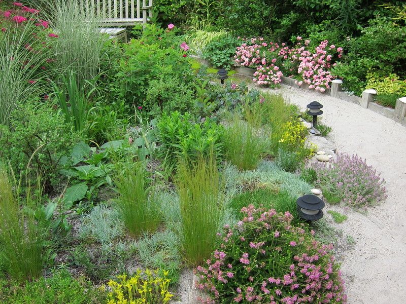 Thyme Thyme