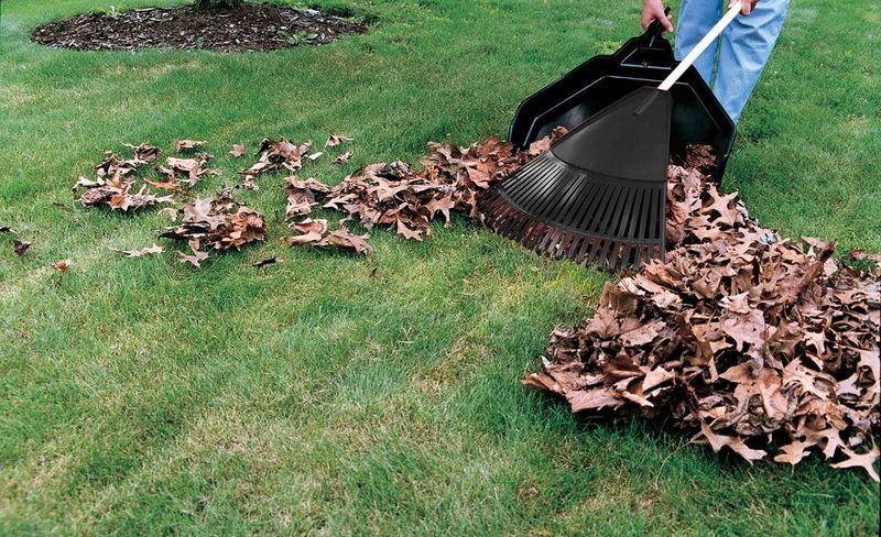 Tidy Up Weeds And Yard Debris Tidy Up Weeds And Yard Debris