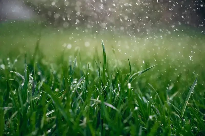 Time It Around Rain And Dew Time It Around Rain And Dew