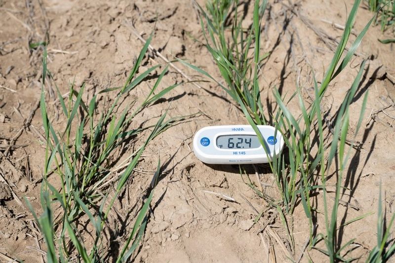 Time It By Soil Temperature Time It By Soil Temperature