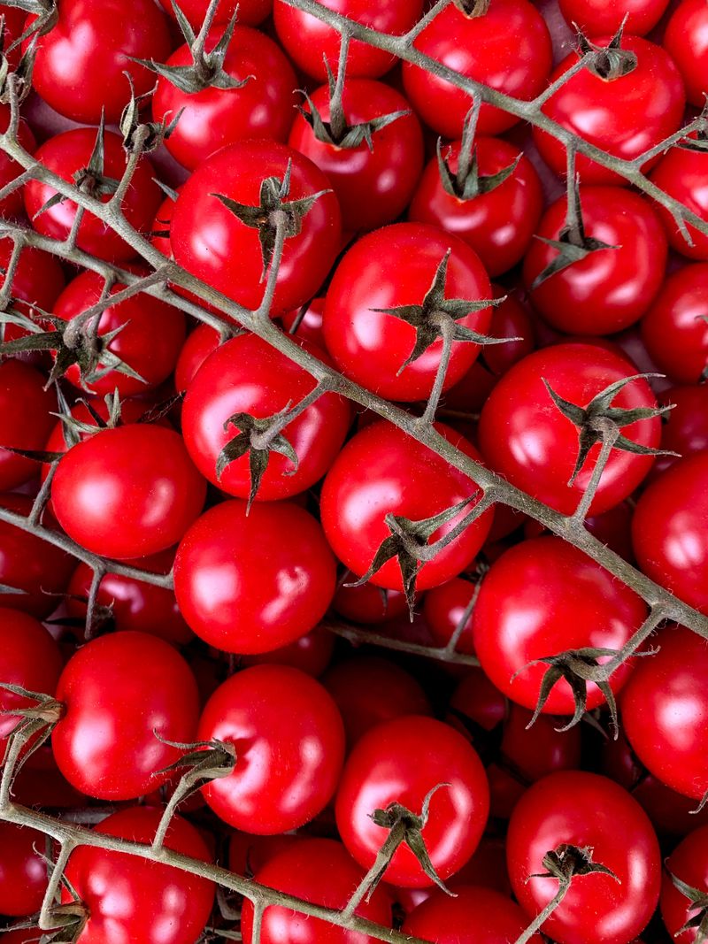 Tomatoes Started The Whole Debate Tomatoes Started The Whole Debate