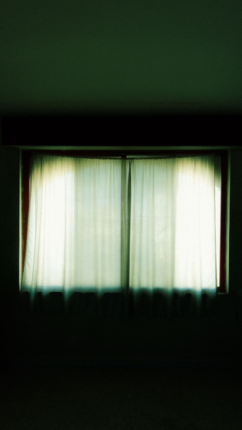 Too Little Light In Short Days Too Little Light In Short Days
