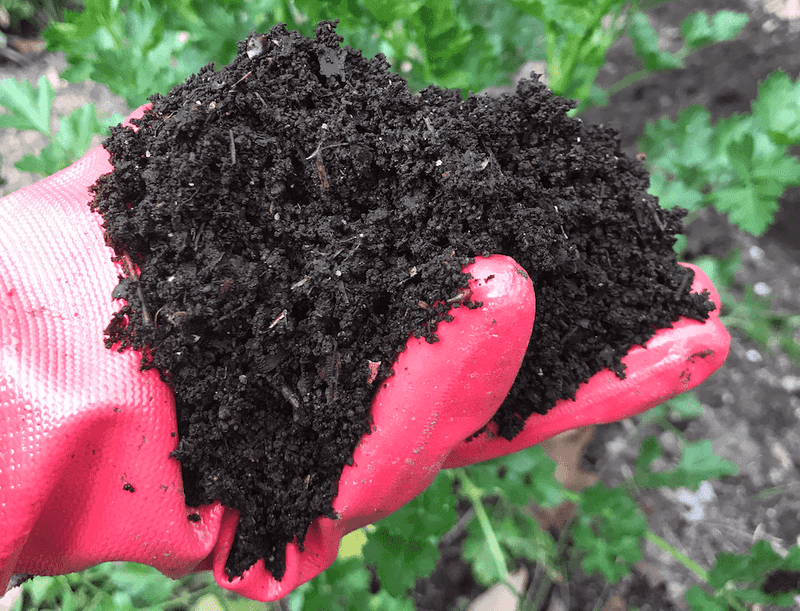 Too Much Water Slows Compost Into Spring Too Much Water Slows Compost Into Spring