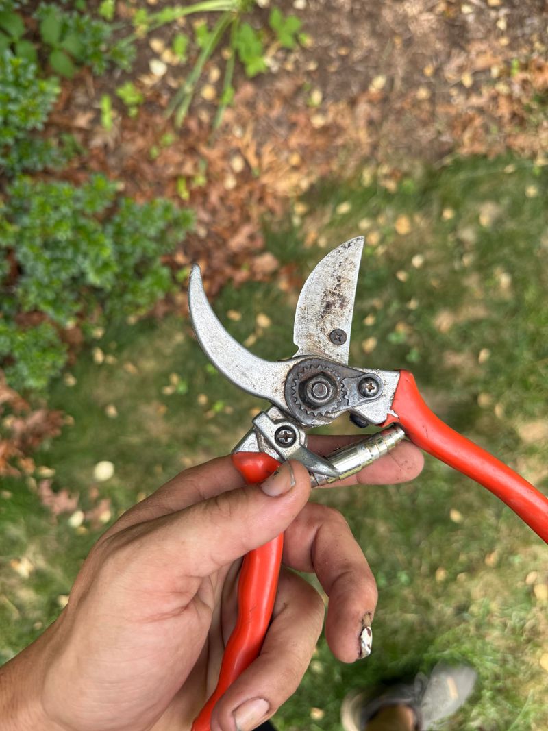 Tools That Make Removal Safer For Branches Tools That Make Removal Safer For Branches