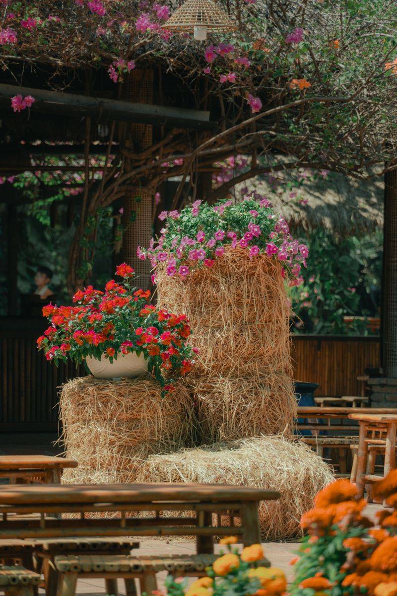 Top Hay Bales With Cheerful Pansies