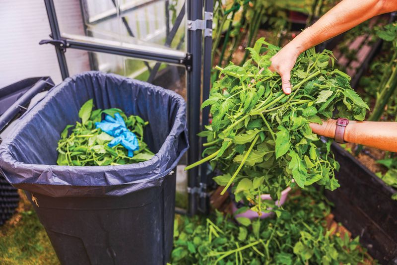 Toss Out Sick Plants Instead Of Composting Them