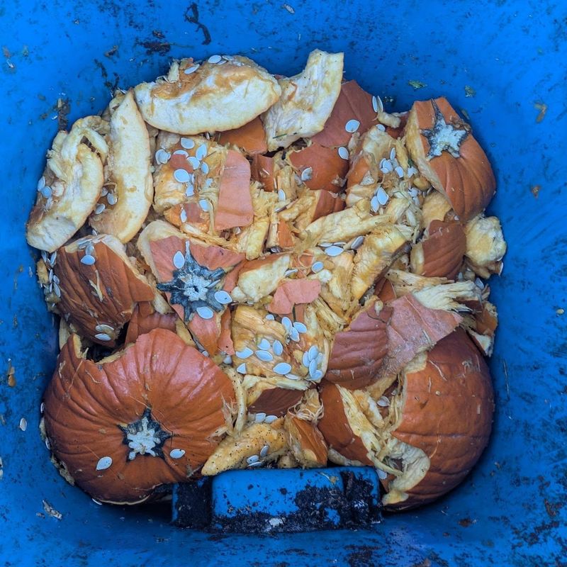 Toss Pumpkin Chunks Into Your Backyard Compost Bin