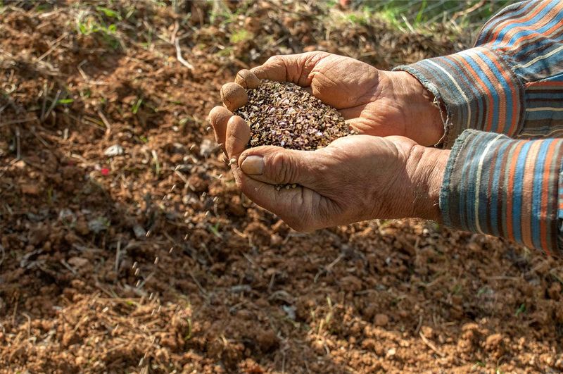Toss The Seed By Hand Like A Farmer Toss The Seed By Hand Like A Farmer