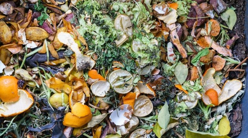 Toss Them Into The Compost Pile