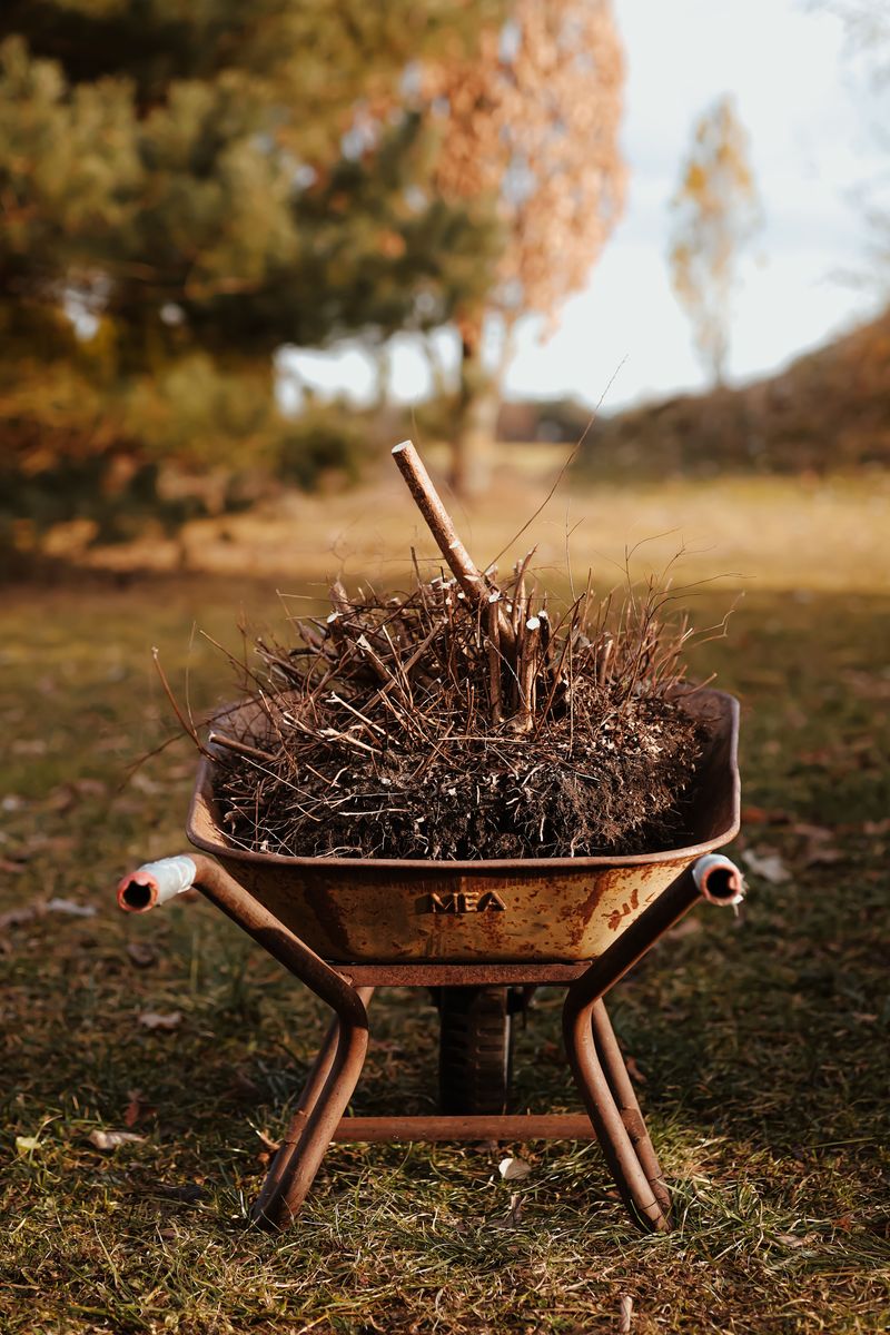 Tossing Out The Brush Pile