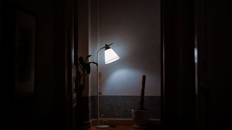 Trap Indoor Visitors With A Simple Light