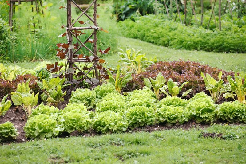 Treat Garden Areas With Care Treat Garden Areas With Care