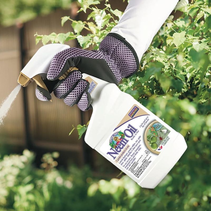 Treat Pests The Gentle Way Treat Pests The Gentle Way