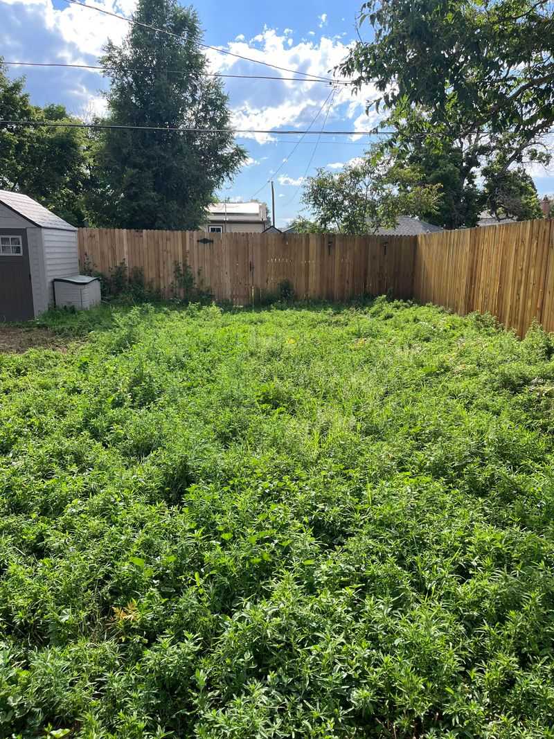 Treat The Old Lawn With Herbicide First