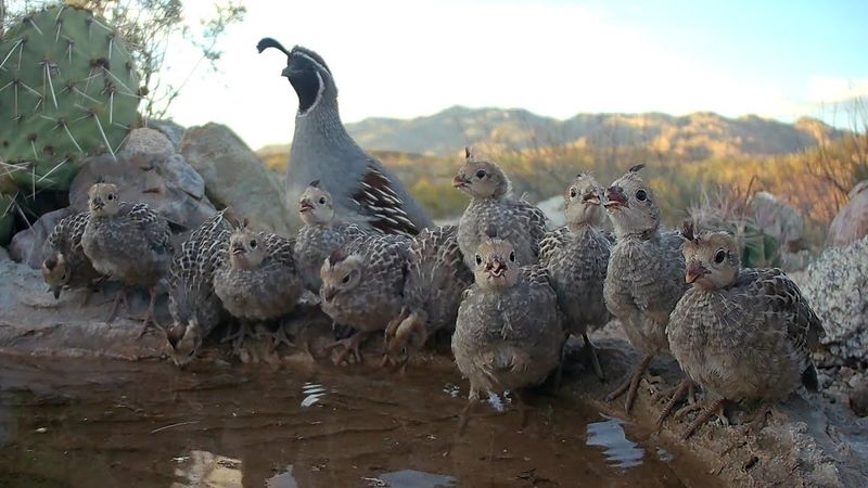 Treat the sighting as an invitation, not a verdict