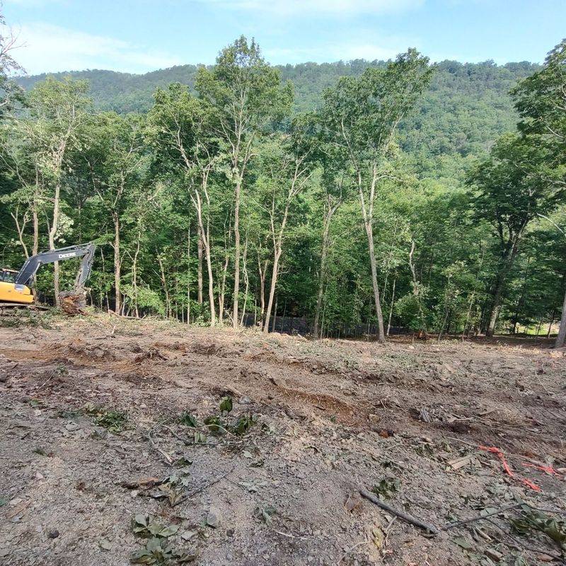 Trees Cleared As Part Of Construction Or Grading In Virginia Trees Cleared As Part Of Construction Or Grading In Virginia