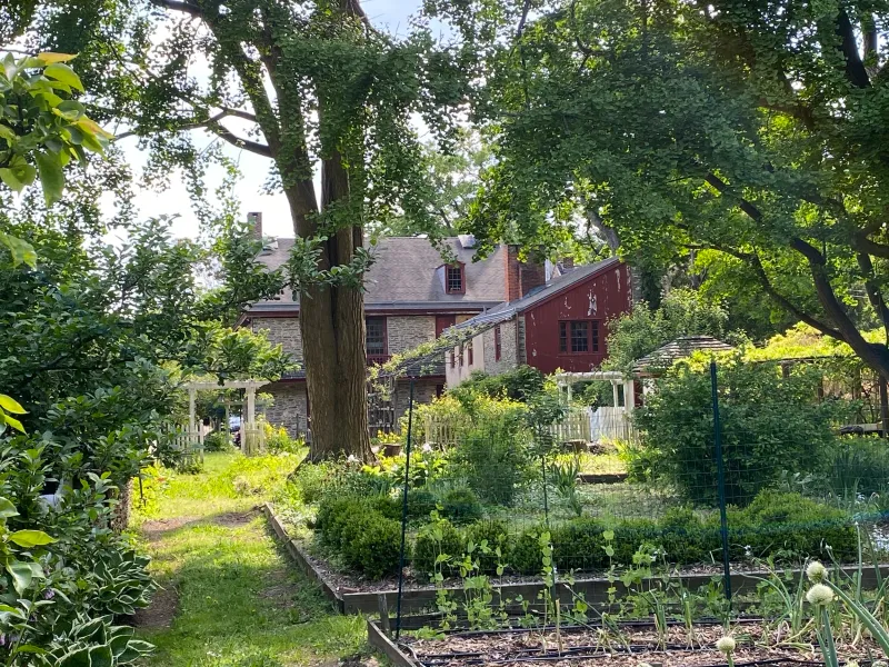 Trees In Historic Districts