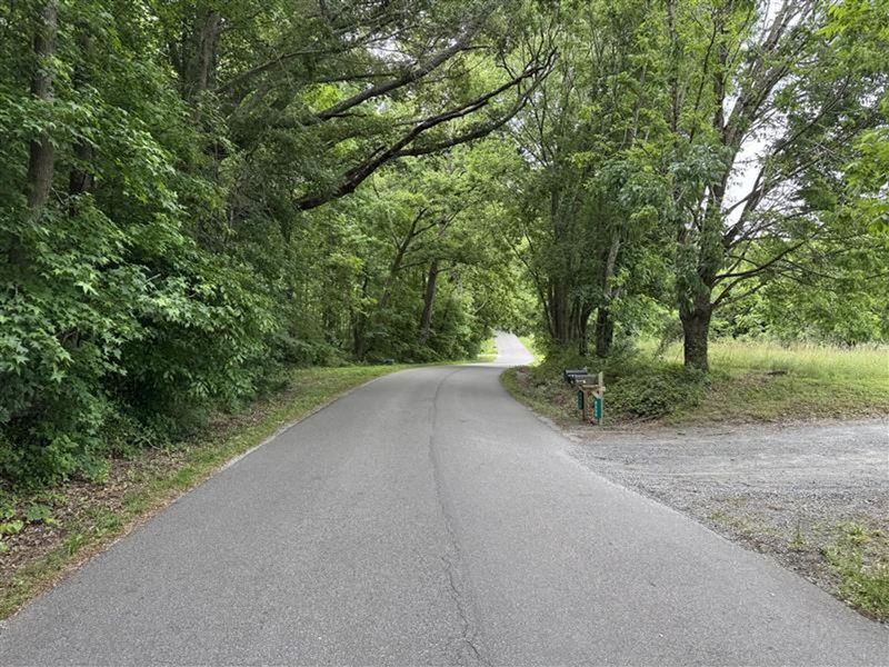 Trees On State Road Rights-Of-Way