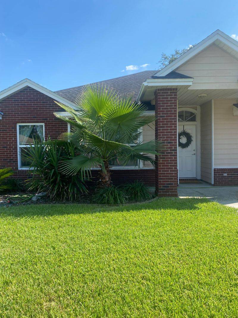 Trim Back Anything Touching Your Roofline