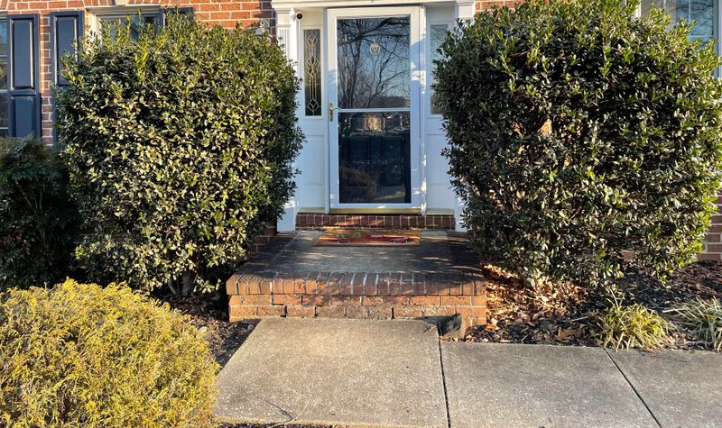 Trim Branches And Thorny Shrubs Along Paths