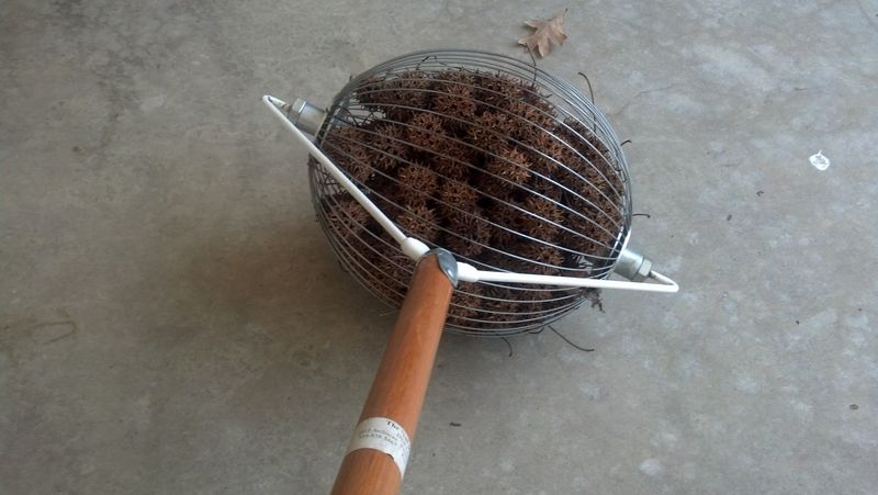Try A Rolling Nut Gatherer For Big Jobs Try A Rolling Nut Gatherer For Big Jobs