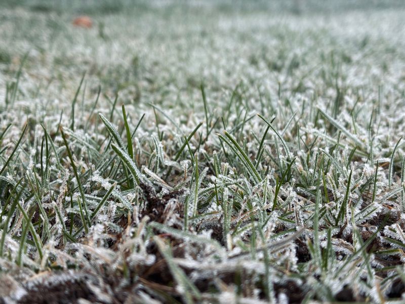 Try Dormant Seeding When The Ground Turns Cold Try Dormant Seeding When The Ground Turns Cold