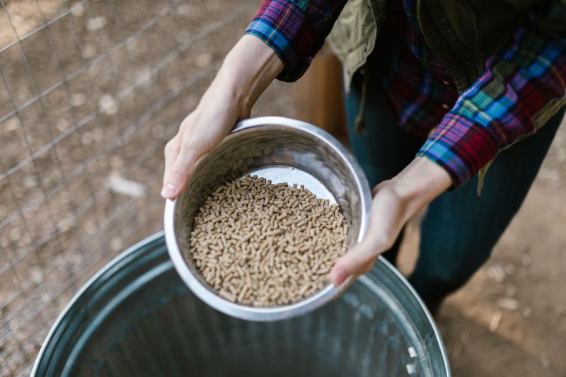 Try Hay Cubes And Pellets As Backup Forage Try Hay Cubes And Pellets As Backup Forage