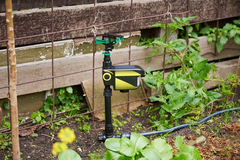Try Motion-Activated Lights And Sprinklers